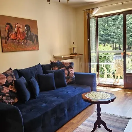 Apart4You Apartamenty Bulwary25 Zakopane Room photo